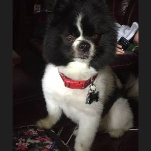 Meet your Posher, Tina